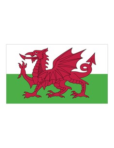 P-FLAGWLS-Flag Wales