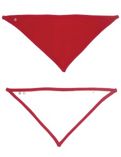 B-BZ23-Bandana Bib