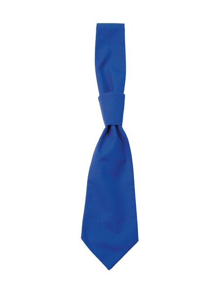 C-01360-01-Tie Messina