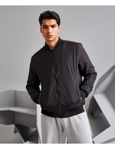 2-TS035-Bomber Delta plain