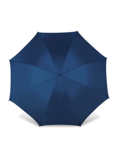 P-4087-Umbrella Dublin