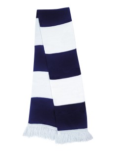 R-R146X-Team Scarf