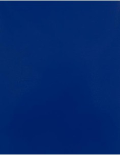 S-SA910-CAD-CUT® Silicone 100