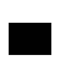 S-SH5343Zurich-