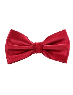 T-TT904-Satin Bow Tie